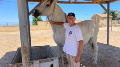 Promenade sur le Rhin d'Andrew pour les chevaux de sauvetage