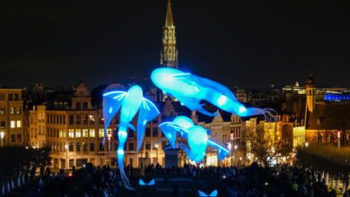 Bruxelles brille de mille feux