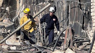 Les incendies de forêt ont coûté des milliards de dollars aux États-Unis