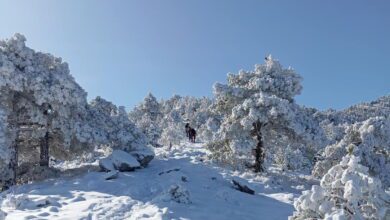 Murcie accueille les premières neiges de 2025
