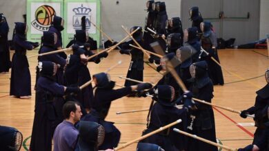 Arts martiaux de Winterkendo, Estepona