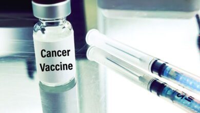 Un médicament à injection unique tue le cancer du sein chez la souris