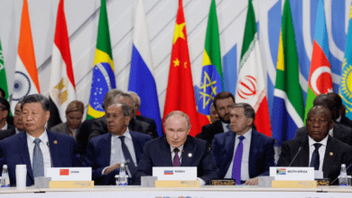 Un guide des BRICS et de leurs membres
