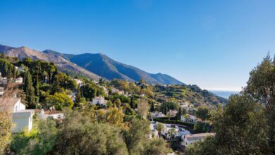 Zen avec les randonnées yoga à Mijas