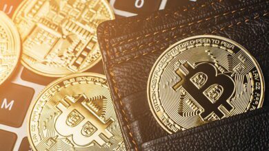Un juge bloque un effort de récupération de 700 millions d’euros de bitcoins
