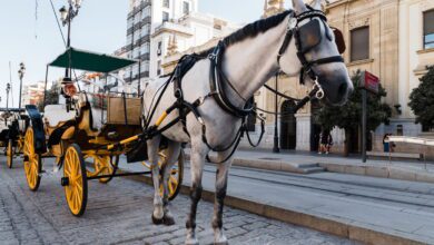 Malaga se débarrasse des calèches