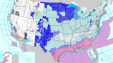 Tempête hivernale Enzo aux États-Unis