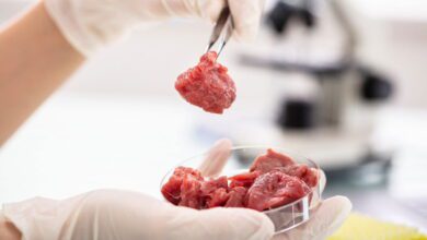Mosa Meat sera un pionnier de l'alimentation cultivée