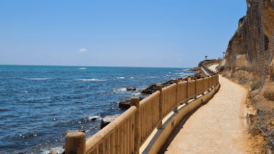 La Costa Blanca remporte les Drapeaux Bleus du Sentier pour 2025