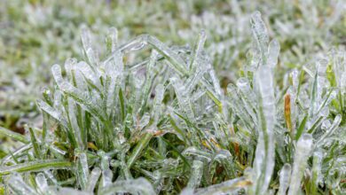 Une vague de froid fait chuter les températures à Almería