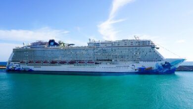 Palma devrait accueillir 1,8 million de passagers