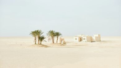 140 citations et dictons du désert : un voyage à travers les sables du temps